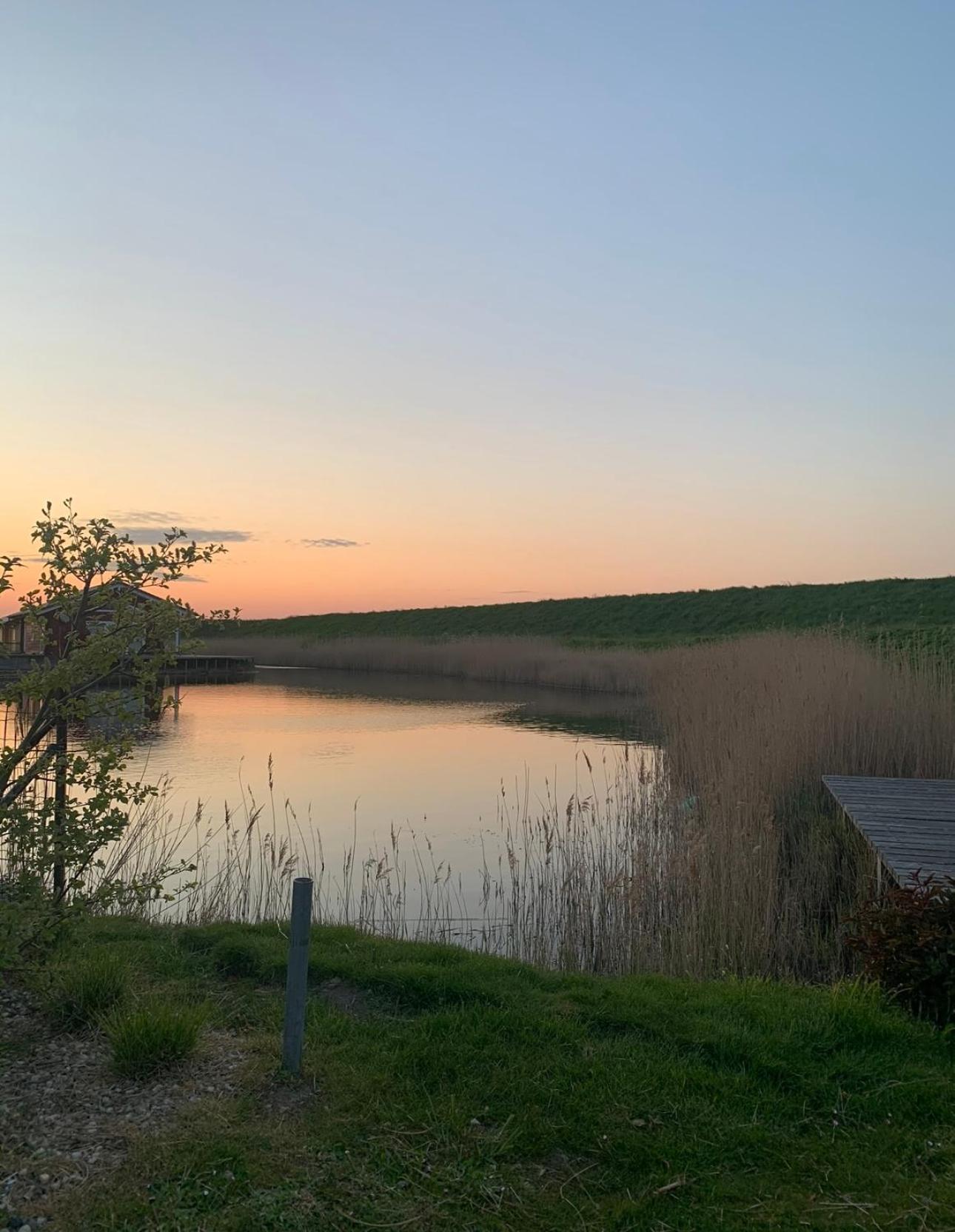 Vakantiewoning De Bosrand Aan Zee Sint Annaland Exterior foto